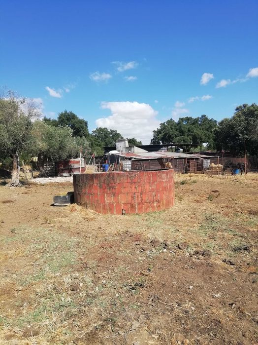 Vende-se Terreno rustico, ótima oportunidade de investimento