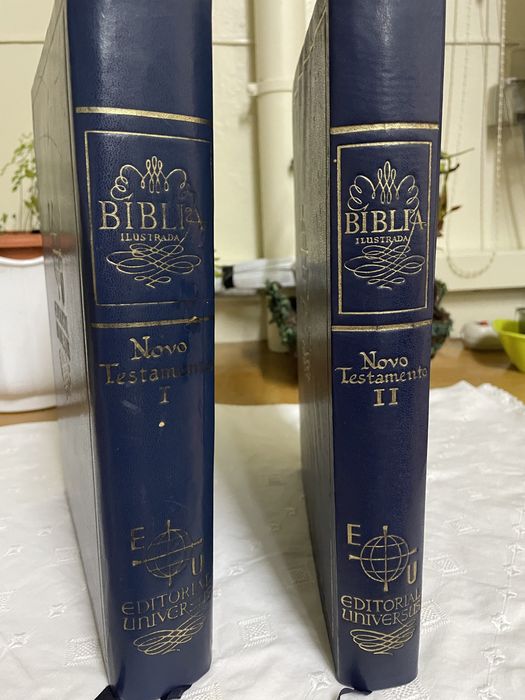 Bíblia Novo Testamento