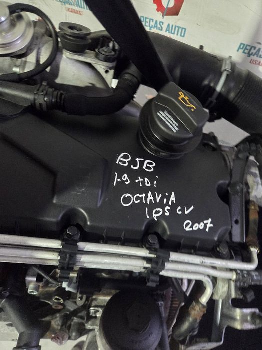 Motor completo SKODA Octavia II Break (1Z5)