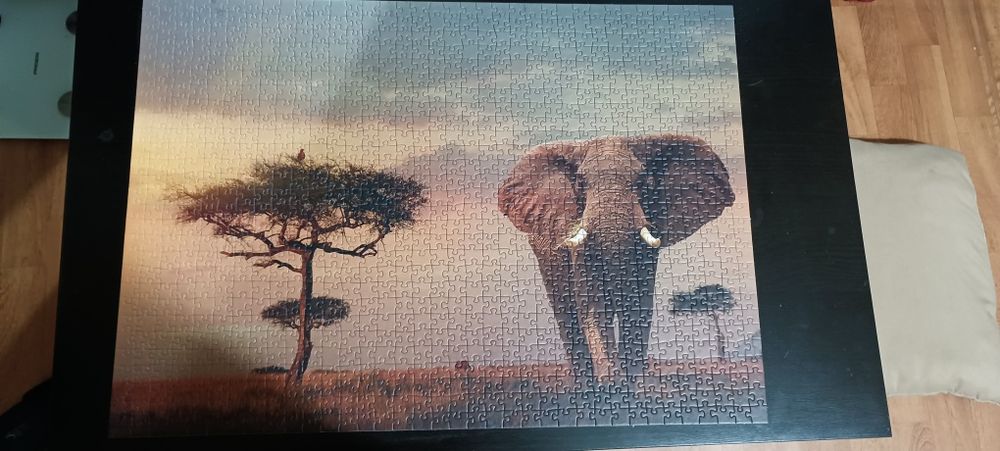 Puzzle 1000 peças
