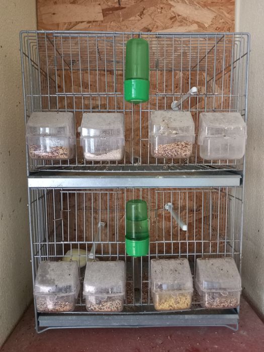 Gaiola/viveiro duplo para canários ou aves de pequeno porte.