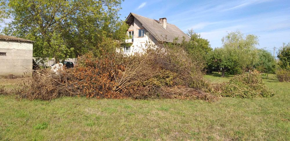Oddam gałęzie na zrębki za darmo