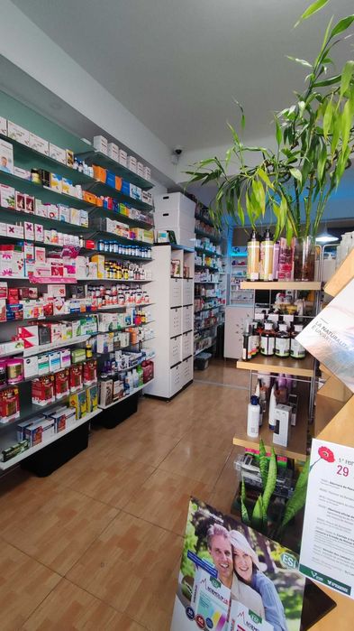 Oportunidade Única: Trespasse de Negócio em Funcionamento