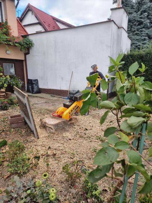 Frezowanie pni, usuwanie pni korzeni drzew, mulczowanie, wycinka drzew