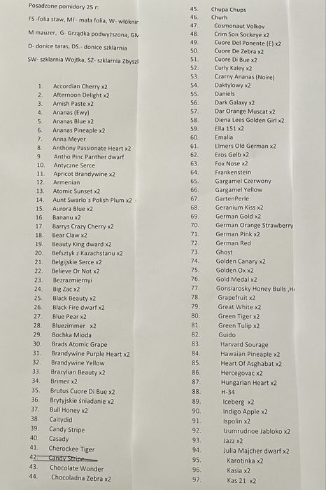 Zestaw dla Pani Celiny nasiona pomidorów kolekcjonerskie