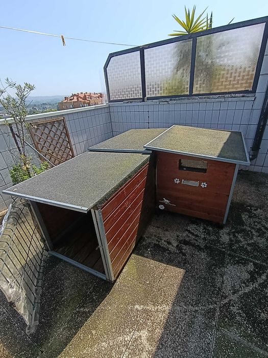 Casotas - Casa/vivenda de Cão