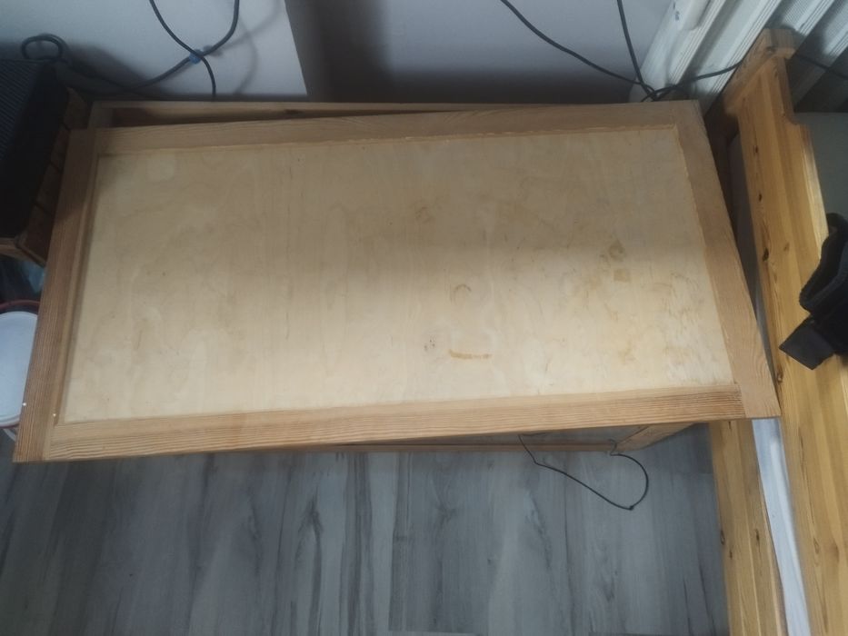 Terrarium jeża pigmejskiego