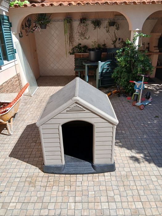 Casota cão grande