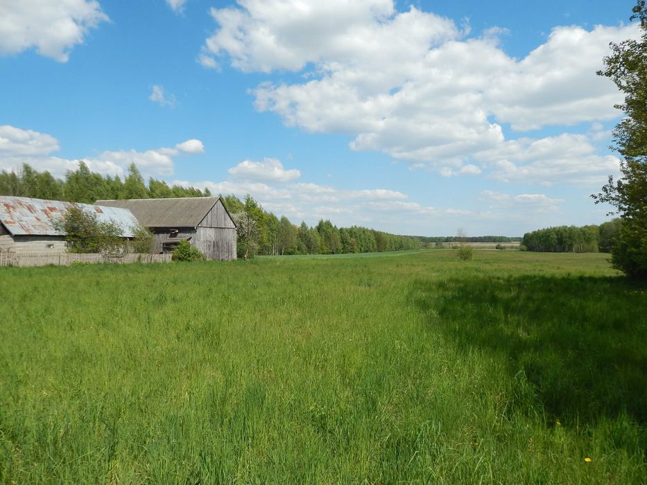 Działka   1150 m2 W.Z.