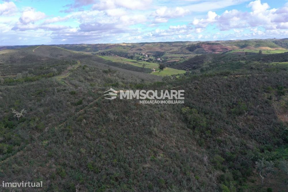 Herdade  Venda em Santana da Serra,Ourique
