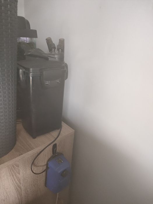 Sprzedam akwarium wraz z całą zawartością