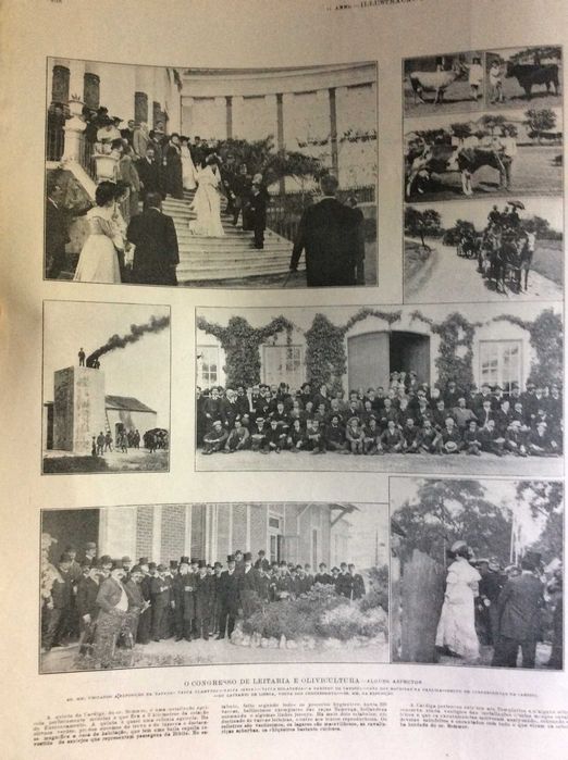 Illustração portugueza, 22 Maio de 1905. História, Geografía...