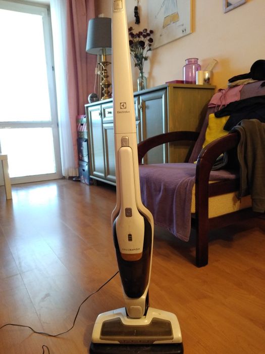 Odkurzacz Electrolux Ergorapido
