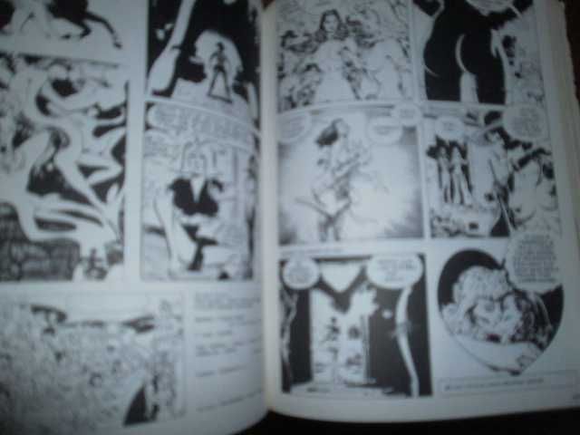 les triomphe de la bande dessinée,1ºed.,1985