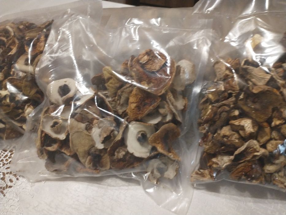 Grzyby suszone borowiki
