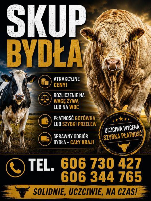 Krowa.jałówka.byk