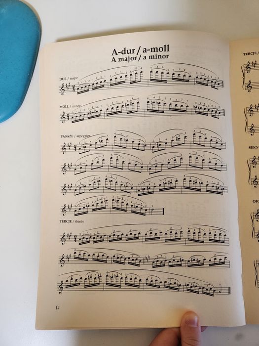 Sławomir Tomasik System gam na skrzypce