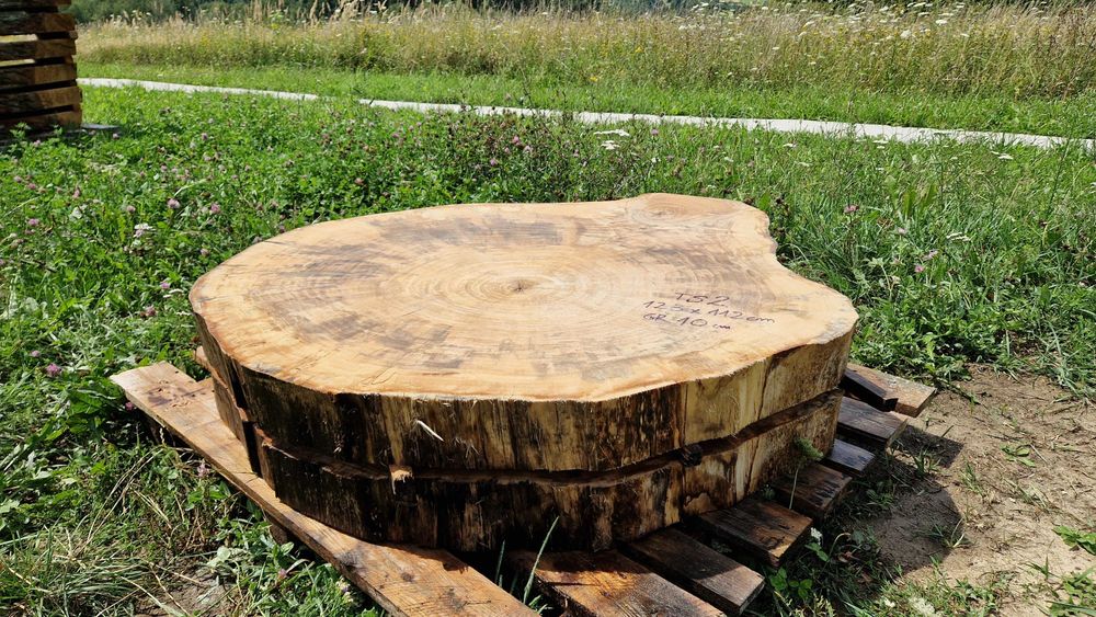 Topola plastry krążki live edge żywica PIĘKNE USŁOJENIE