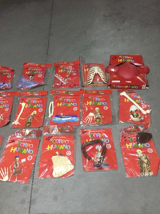 34 peças de um esqueleto