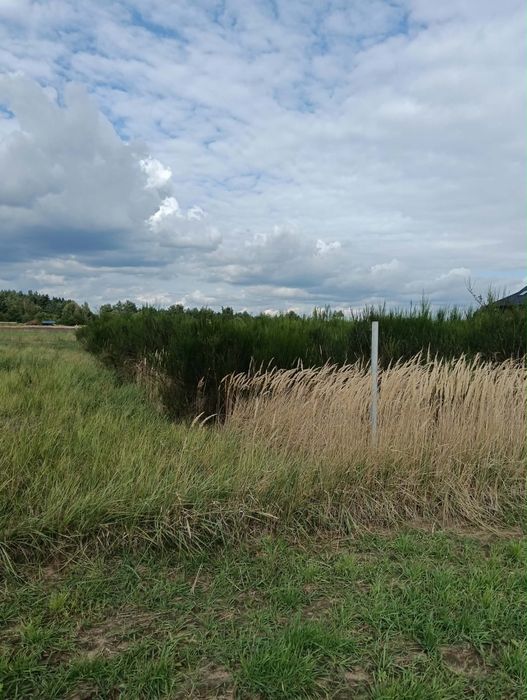 Działka 1729 m Wierzbica k Radomska, pozwolenie na budowe - Widok 4