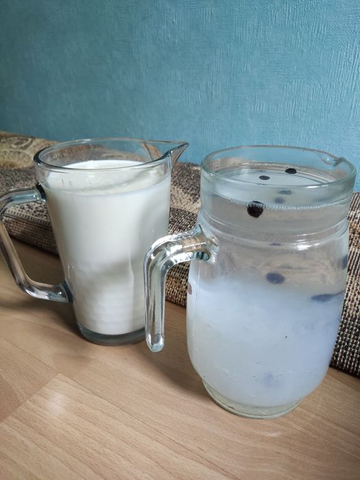 Grzybek tybetański + kryształki japońskie ZESTAW