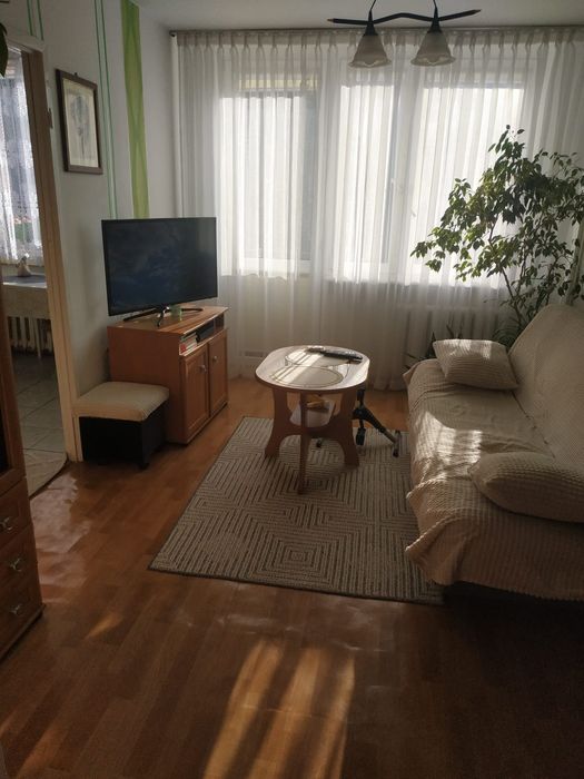 Zdjęcie 6