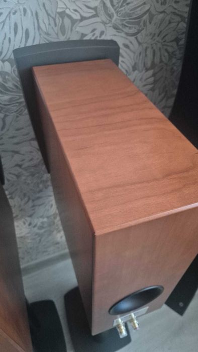 Kolumny Dynaudio Confidance C1