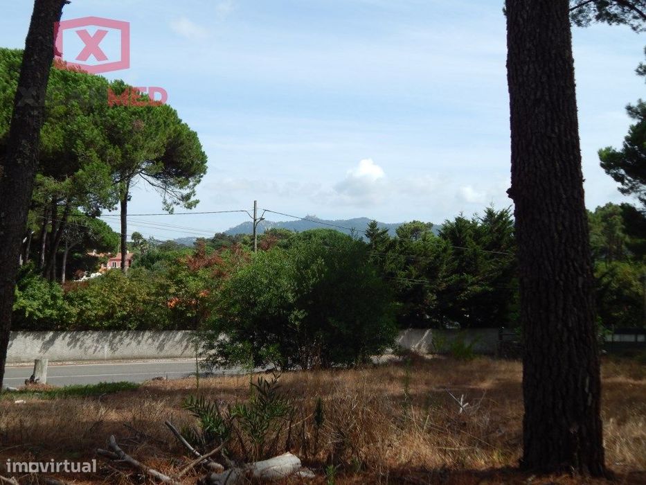 Terreno em Janas