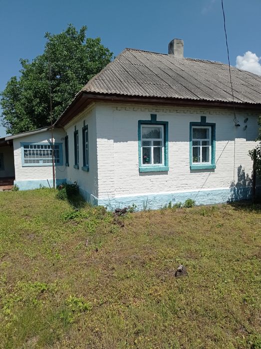 Продам садибу в селі Олишівка.