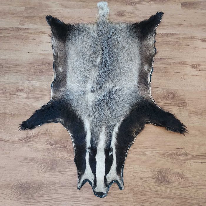 Skóra Naturalna Dekoracyjna z Borsuka Skóra Borsuk