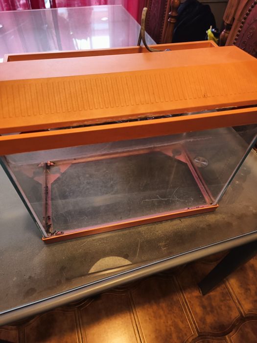 Aquário de peixes varidados