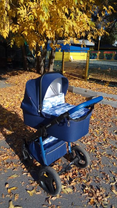 Коляска 2 в 1 Amelis
