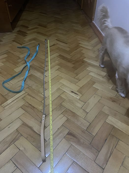 Проводок цепочка для собак якісний натуральна шкіра