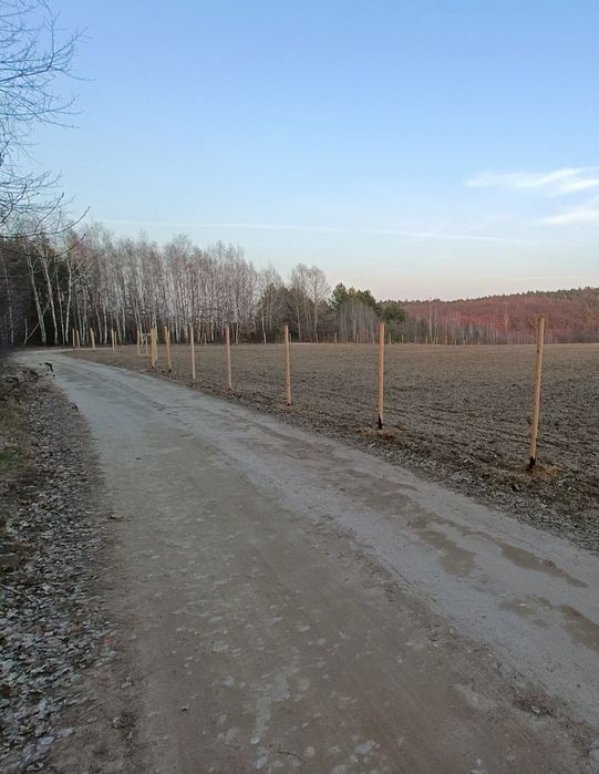 Ogrodzenie leśne tymczasowe budowlane