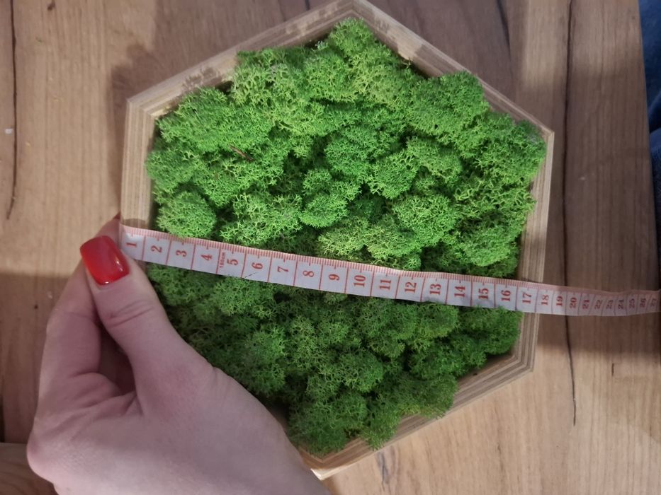 Obrazy ze sztucznego mchu