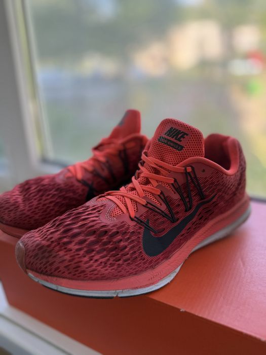 Кросівки Nike Pegasus