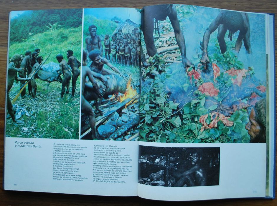 Os Últimos Paraísos do Homem de Heinrich Harrer