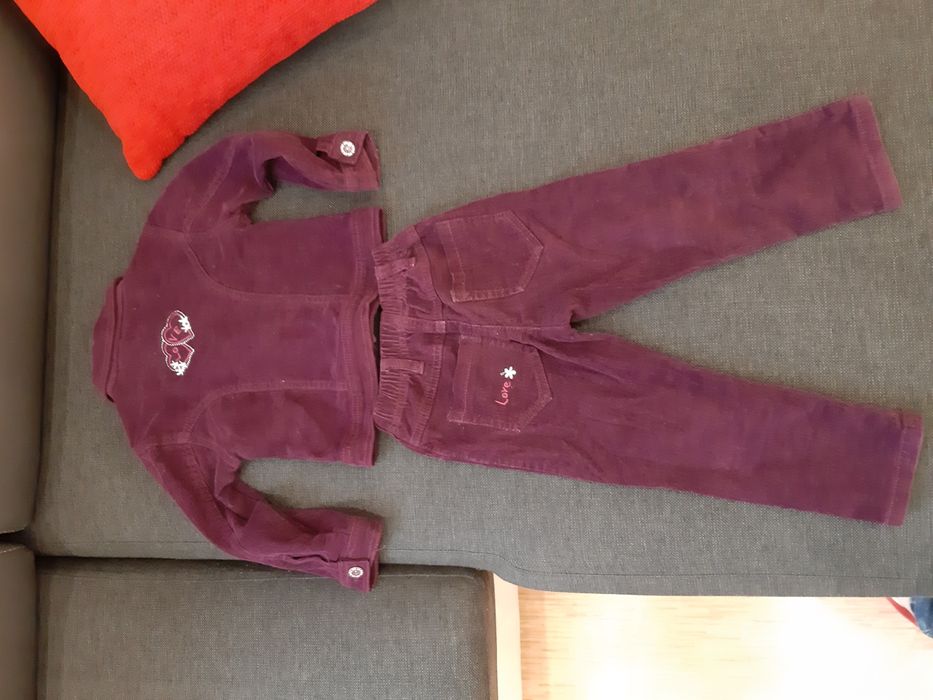 Kąplecik sztruksowy