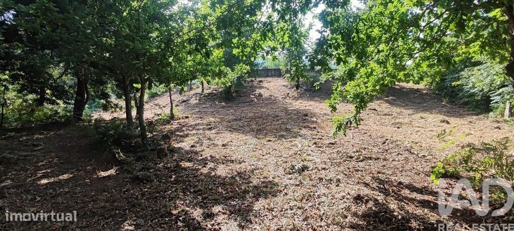 Terreno em Romarigães