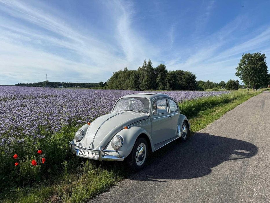 VW Garbus 1966r.
