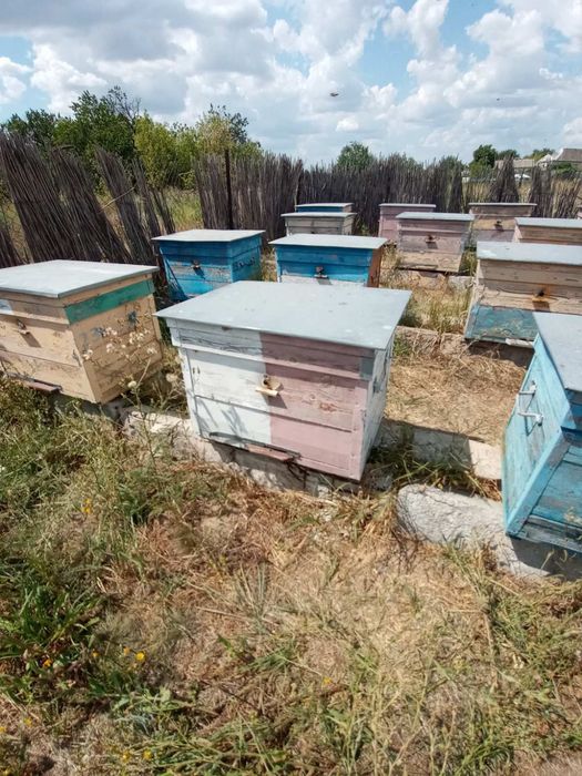 Продам вулики + інвентар