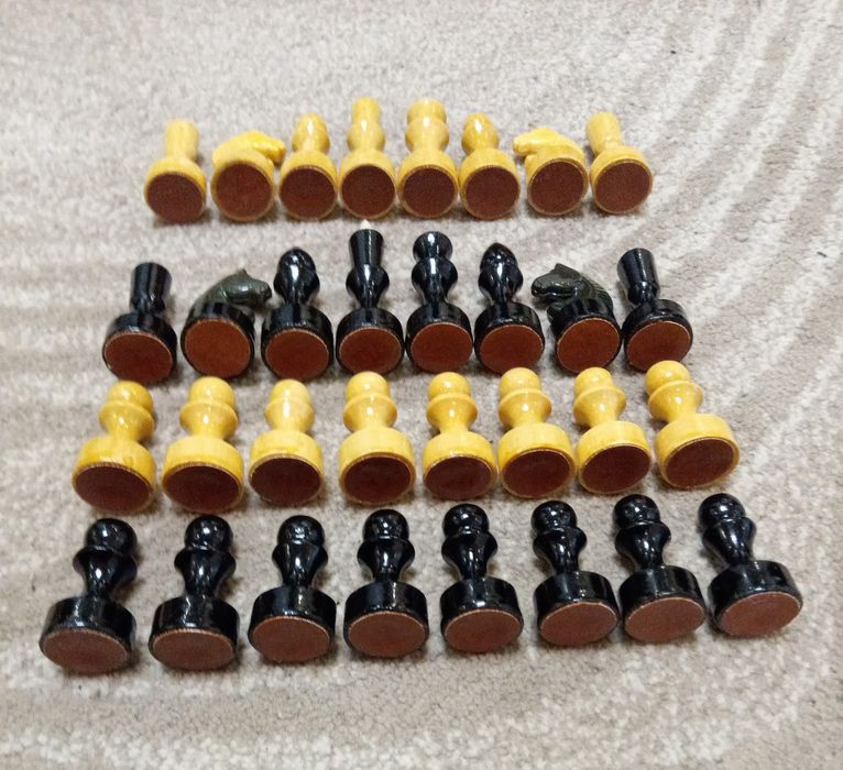 Шахмати, шахи СССР- Нові 1973 р.