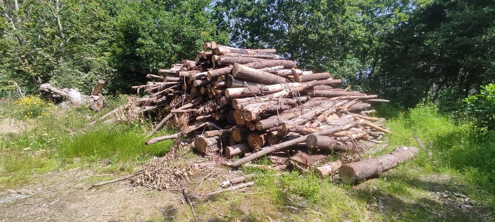 Lenha ao metro cúbico