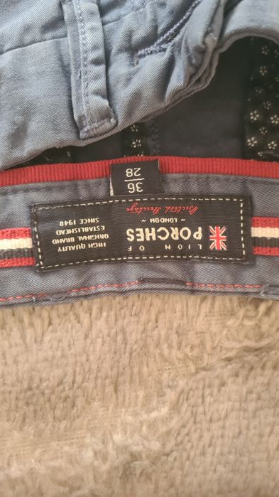 Calções Lion of Porches