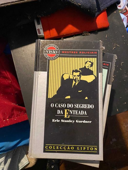 livro o caso do segredo da enteada
