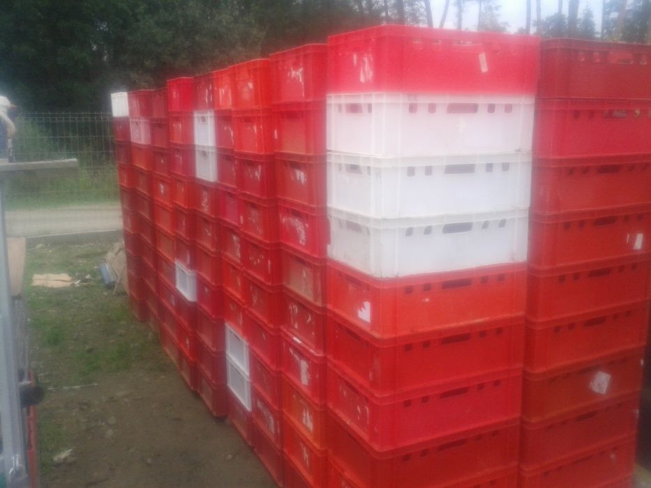 skup/sprzedaż palet drewnianych H1,E2,gitterbox