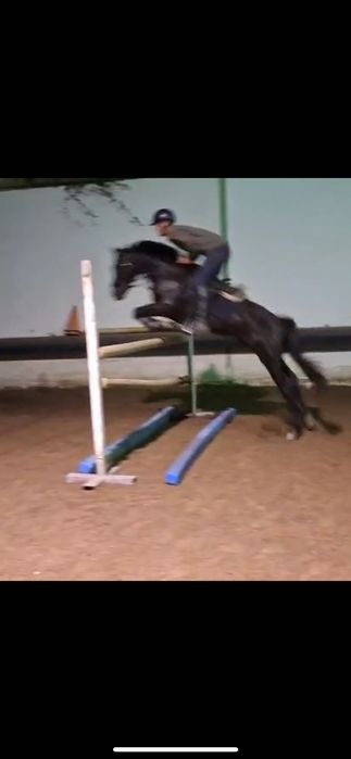 Ponei de obstáculos