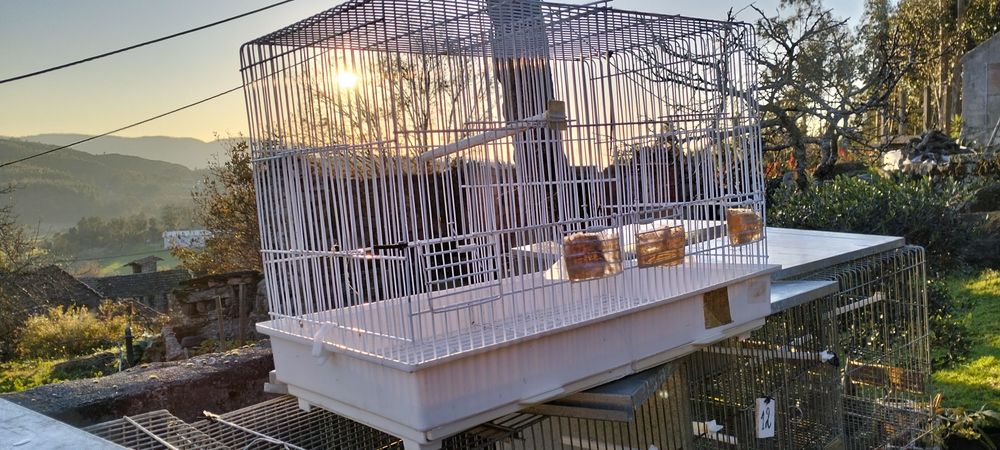 Gaiolas de criação / viveiros