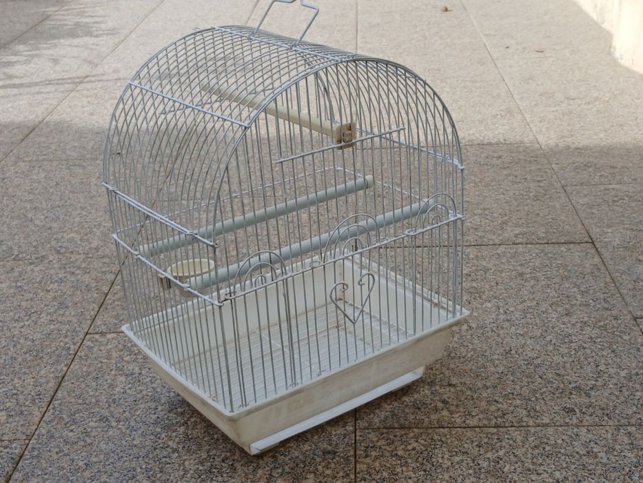 Vendo GAIOLA que também dá para DECORAÇÃO como nova. Possibilidade de entrega