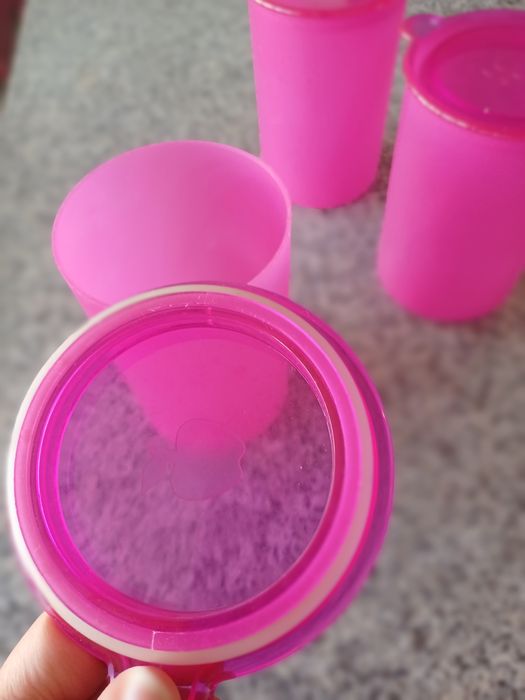 3 potes com tampa hermética